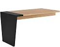 Брифинг-приставка